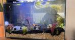 SuperFish Home 110 zwart, Dieren en Toebehoren