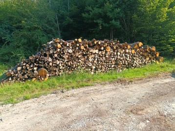 A vendre , bois de chauffage en 2 m ( charme ,chêne) beschikbaar voor biedingen