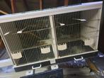 Kweekbak voor vogels, Dieren en Toebehoren, Ophalen