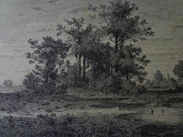 gravure du paysage aux nombreux arbres d'Henri Harpignie dat