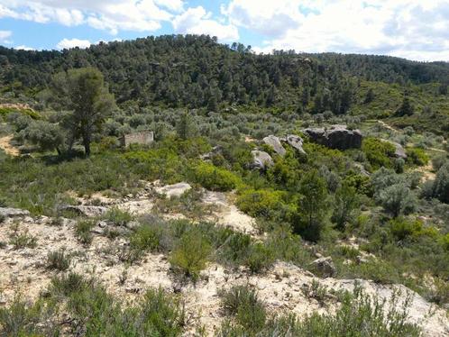 Finca in Maella (Aragón, Spanje) - 1059, Immo, Buitenland, Spanje, Overige soorten, Landelijk