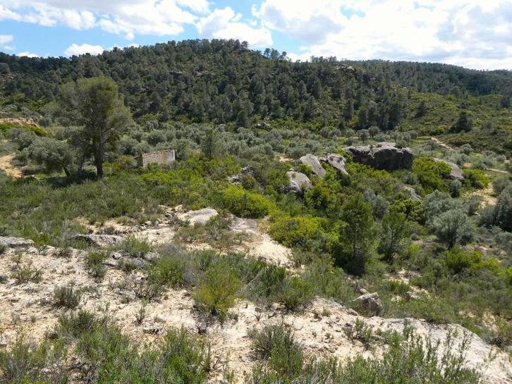 Finca in Maella (Aragón, Spanje) - 1059, Immo, Buitenland, Spanje, Overige soorten, Landelijk