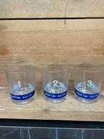 Martini racing glazen, Ophalen of Verzenden, Zo goed als nieuw, Borrel- of Shotglas