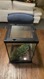 Zoo med creatures terrarium, Ophalen of Verzenden, Zo goed als nieuw, Terrarium of Paludarium