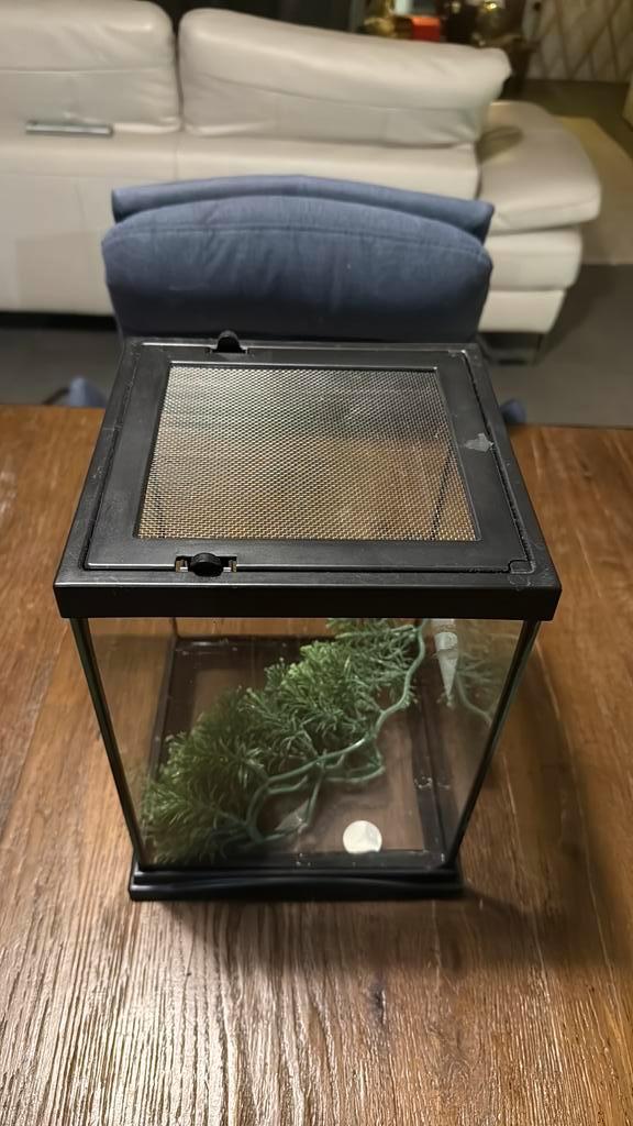 Zoo med creatures terrarium, Animaux & Accessoires, Reptiles & Amphibiens | Accessoires, Comme neuf, Terrarium ou Paludarium, Enlèvement ou Envoi
