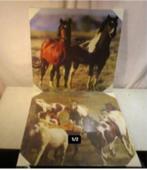3 Fotos van Paarden op Canvasdoek - NIEUW - 50x50, Nieuw, Ophalen of Verzenden, Foto, Dier