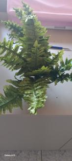 Exo terra boston fern medium, Ophalen of Verzenden, Nieuw, Tak, Plant, Rots of Steen