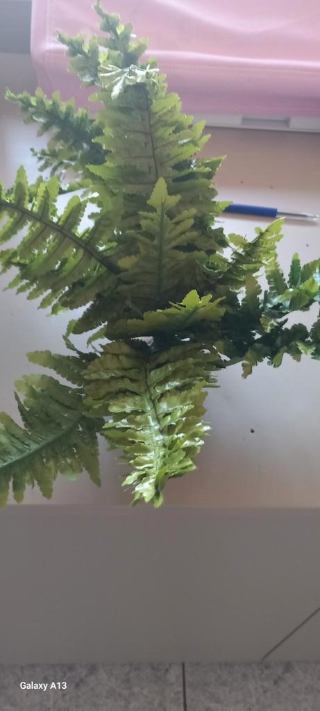 Exo terra boston fern medium, Dieren en Toebehoren, Reptielen en Amfibieën | Toebehoren, Nieuw, Tak, Plant, Rots of Steen, Ophalen of Verzenden