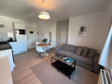 Appartement à louer à Bruxelles, 1 chambre disponible aux enchères