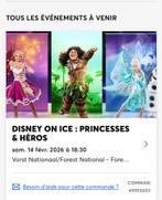 Spectacle Disney. On ICE, princesse et héros., Trois personnes ou plus