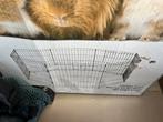 Buitenren, Dieren en Toebehoren, Ophalen, Nieuw, Ren, Cavia
