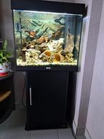 Juwel Lido 120, Dieren en Toebehoren, Ophalen, Gebruikt, Leeg aquarium