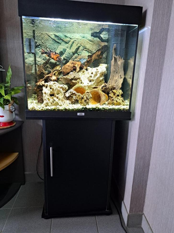 Juwel Lido 120, Dieren en Toebehoren, Vissen | Aquaria en Toebehoren, Gebruikt, Leeg aquarium, Ophalen