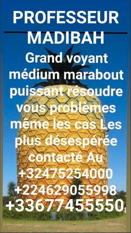 MEDIUM VOYANT- FR:0628634888 BEL:0475.25.40.00, Boeken, Filosofie, Zo goed als nieuw, Ophalen of Verzenden