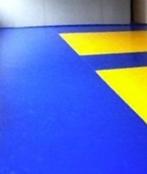 2 judomatten, Sport en Fitness, Vechtsporten en Zelfverdediging, Ophalen, Nieuw