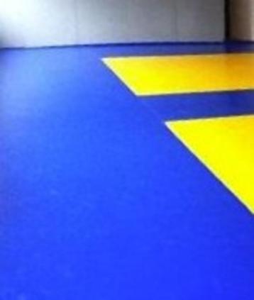 2 judomatten beschikbaar voor biedingen