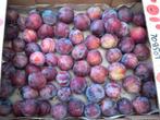 Prunes rouges, Ophalen