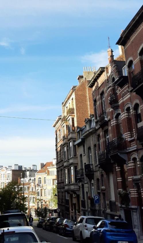 Eengezinswoning met karakter, Immo, Huizen en Appartementen te koop, Brussel, Tussenwoning, G