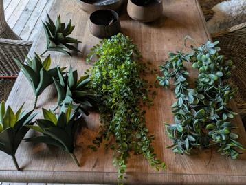 Kunstplanten beschikbaar voor biedingen