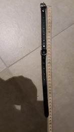 Collier et laisse pour chiens, Ophalen, Gebruikt