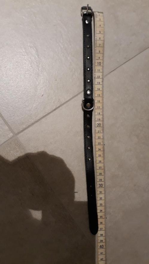 Collier et laisse pour chiens, Dieren en Toebehoren, Hondenhalsbanden en Penningen, Gebruikt, Ophalen