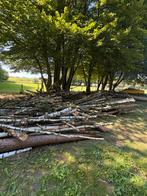 Brandhout te koop, Tuin en Terras, Brandhout, 6 m³ of meer, Ophalen of Verzenden, Berkenhout, Stammen