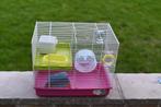 Hamsterkooi met veel accessoires, Hamster, Moins de 60 cm, Cage, Utilisé