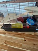 Hamsterkooi duvo plus met alle toebehoren, Ophalen of Verzenden, Zo goed als nieuw, Kooi, Hamster