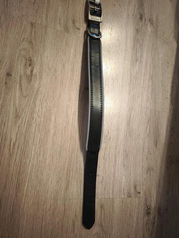 Halsband hond ferplast beschikbaar voor biedingen