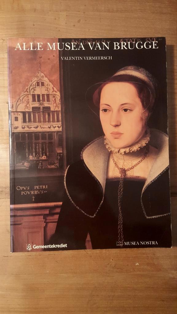 Alle musea van Brugge: Valentin Vermeersch, Boeken, Kunst en Cultuur | Beeldend, Zo goed als nieuw, Ophalen of Verzenden