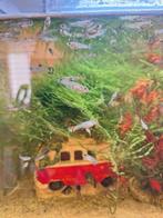 Jonge guppy's ruilen, Dieren en Toebehoren