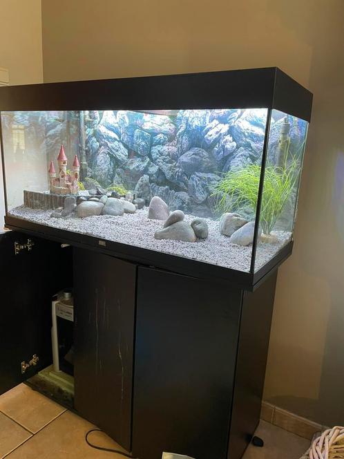Juwel rio 180 + kast, uv lamp, ex filter, vis bestand,.., Dieren en Toebehoren, Vissen | Aquaria en Toebehoren, Zo goed als nieuw