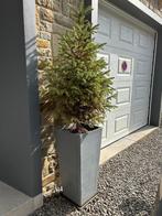 Grand ecopot + sapin Hauteur totale 150 cm, Ophalen, Vaste plant, Overige soorten