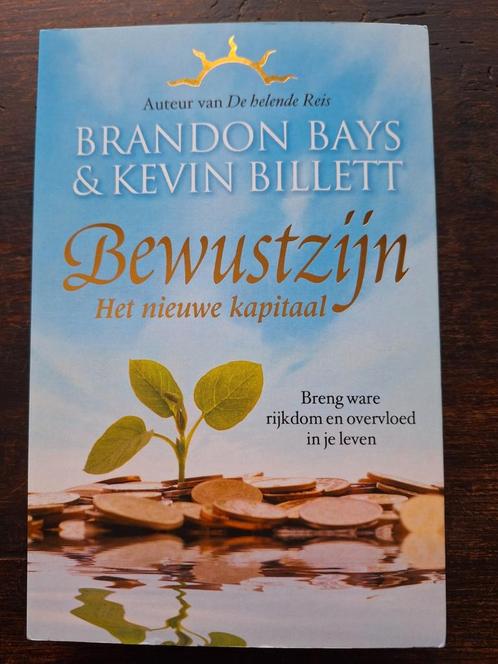Brandon Bays - Bewustzijn, Livres, Ésotérisme & Spiritualité, Comme neuf, Enlèvement ou Envoi