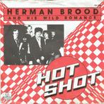 herman  brood, Cd's en Dvd's, Verzenden