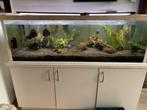 Aquarium te koop ZONDER vissen, Ophalen, Zo goed als nieuw