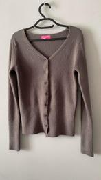 Vest nieuw grijs TU, Kleding | Dames, Truien en Vesten, By Laetitia, Ophalen of Verzenden, Nieuw, Grijs