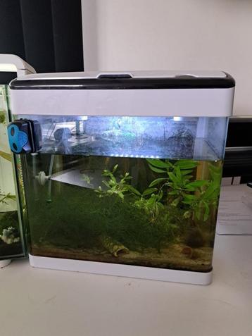 Superfish aquarium  30Liter beschikbaar voor biedingen