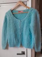 Prachtig fluffie vestje in licht blauw o/o 51 cm large., Enlèvement ou Envoi, Porté, Taille 42/44 (L), Bleu