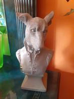 Buste chien, Enlèvement