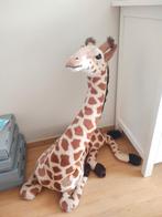 Knuffel Giraffe, Ophalen