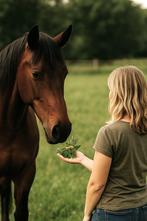 EquiSoin propose une approche holistique du bien-être équin, Verzenden, Nieuw