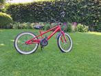 Alpina Comet 20 inch, Fietsen en Brommers, Ophalen, Gebruikt, 16 tot 20 inch, Alpina