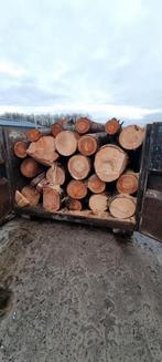 Brandhout,  stammen van populier, Tuin en Terras, Brandhout, Ophalen, Stammen