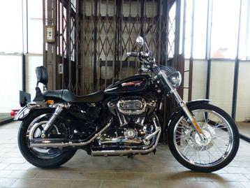Harley-Davidson Sportster XL1200C (bj 2008) beschikbaar voor biedingen