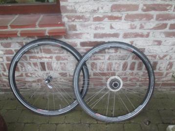 2 koerswielen beschikbaar voor biedingen