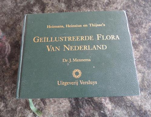 Flora wilde planten Nederland Belgie Luxemburg, Boeken, Natuur, Gelezen, Bloemen, Planten en Bomen, Ophalen of Verzenden
