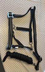 nieuw halster (full) + halstertouw, Ophalen of Verzenden