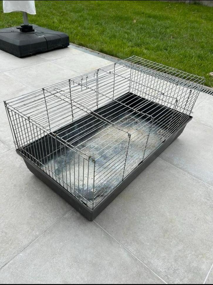 Konijnenhok binnen, Dieren en Toebehoren, Knaagdieren en Konijnen | Hokken en Kooien, Gebruikt, Kooi, 75 tot 110 cm, Cavia, Konijn