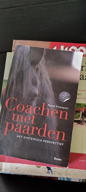 Coachen met paarden  beschikbaar voor biedingen